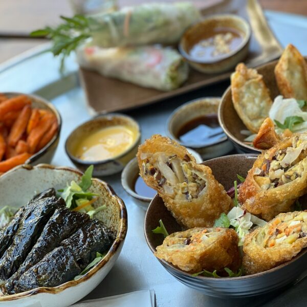 Knusprige vietnamesische Frühlingsrollen, Dumplings und asiatische Vorspeisen bei Hot Wok Dresden am Wasaplatz – frisch zubereitet und aromatisch serviert